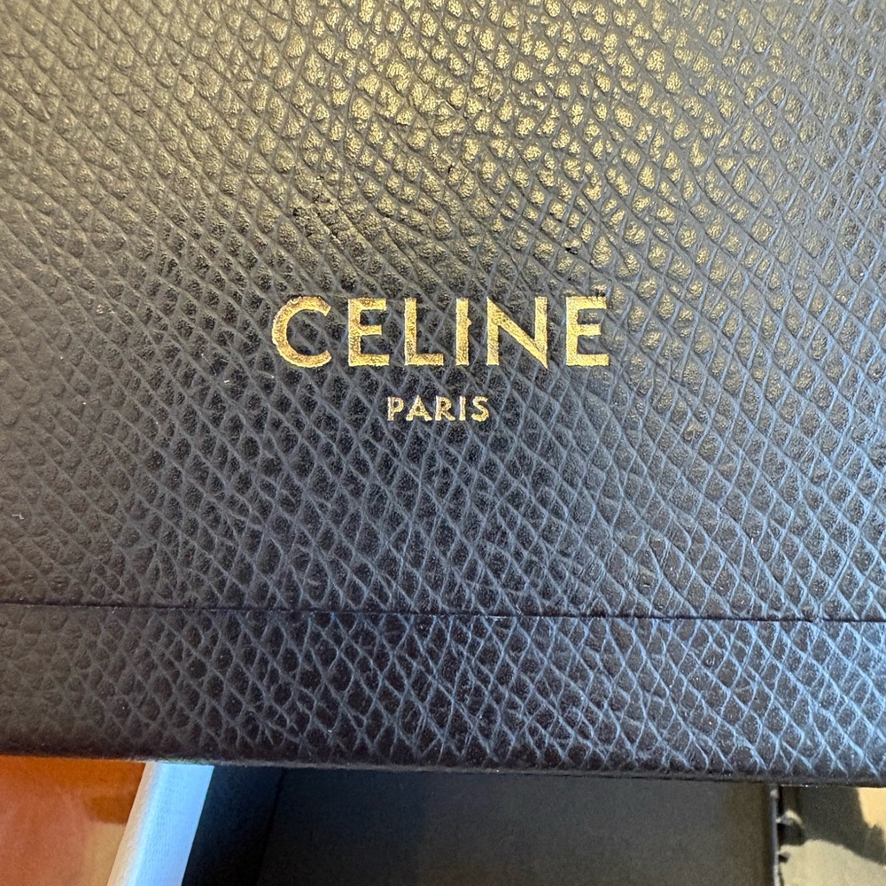 Celine Triomphe 01 Sunglasses in Acetate - Picture 12 of 15